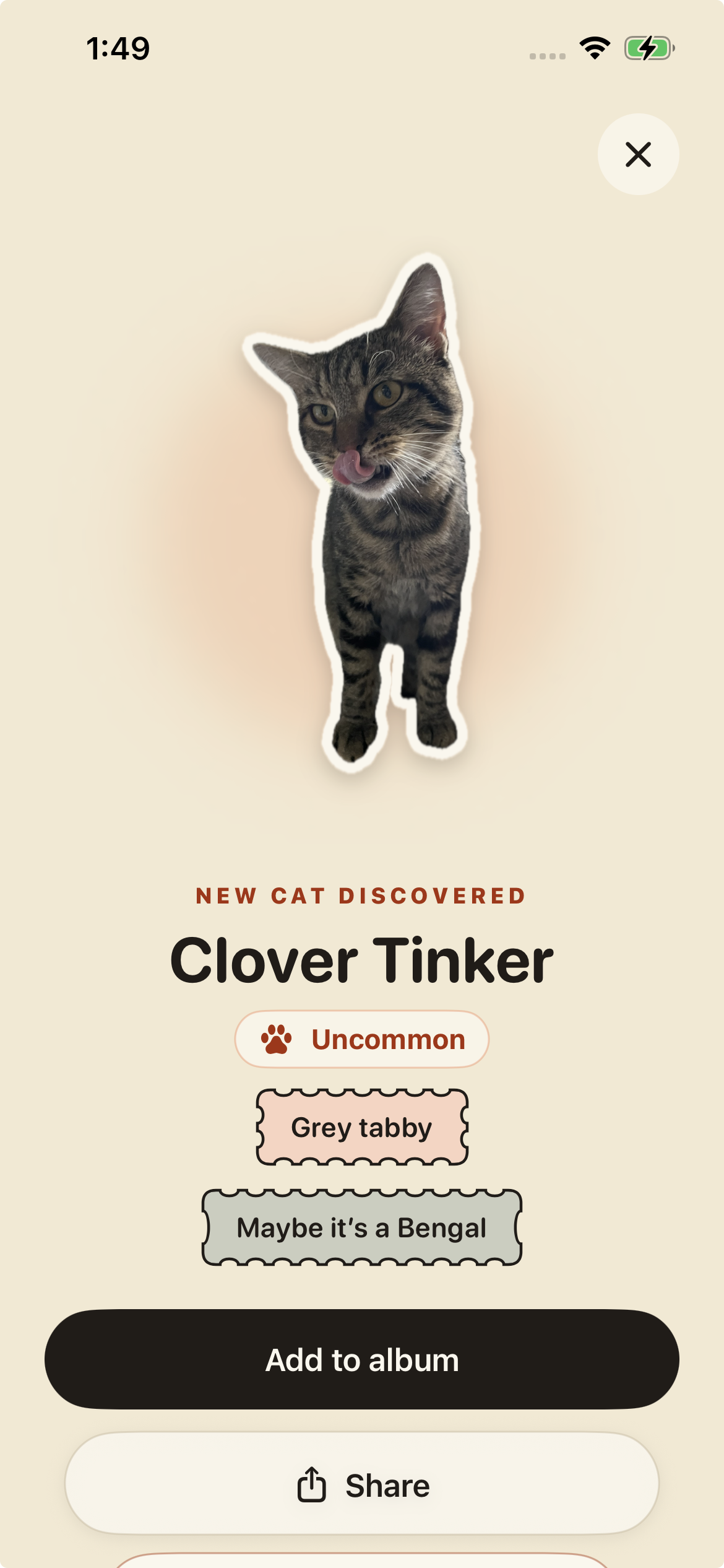 Reveal screen naming the new cat Clover Tinker with an Uncommon stamp